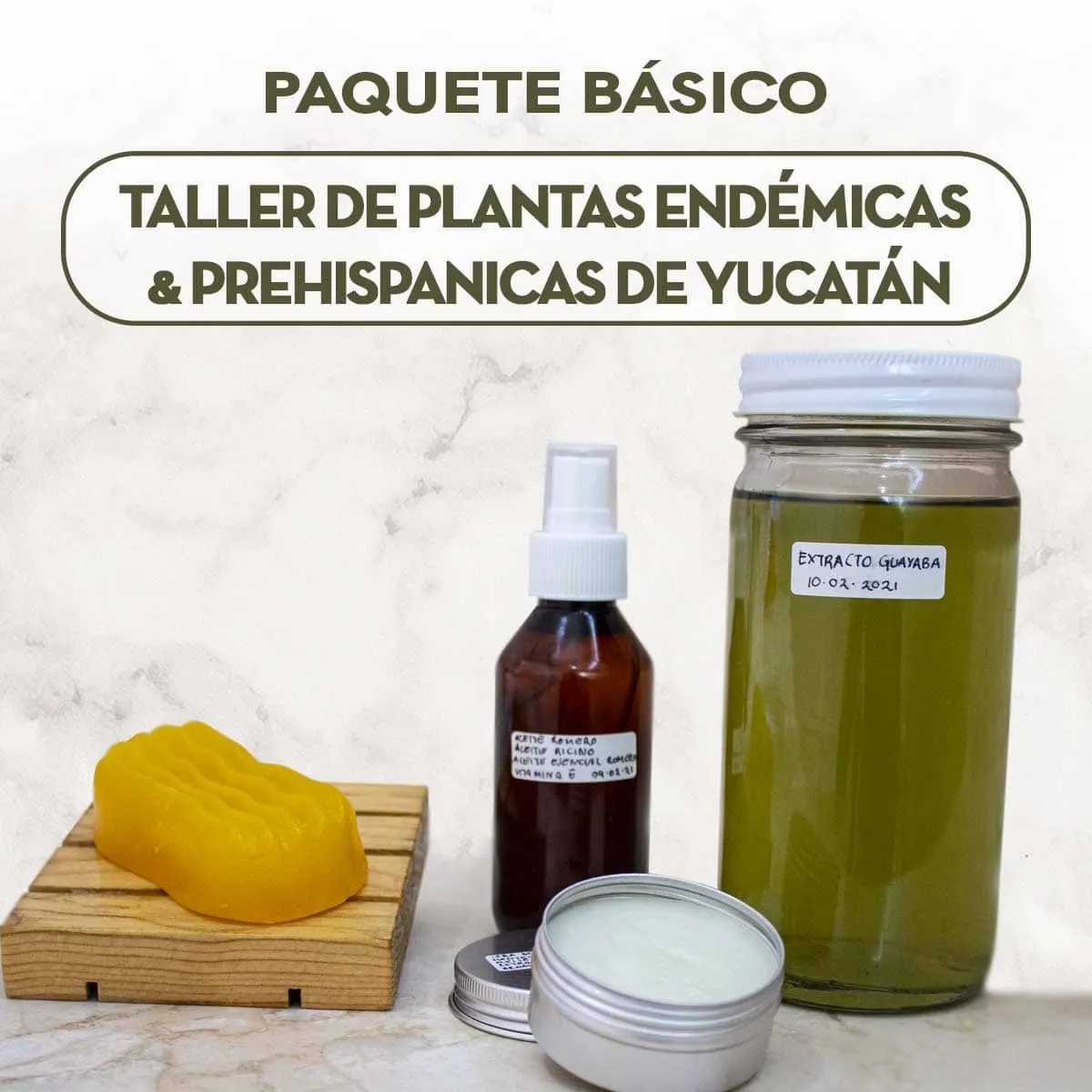 Curso Online Plantas Endémicas y Prehispánicas de Yucatán - Paquete Básico