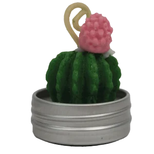Vela Aromática Mini Cactus