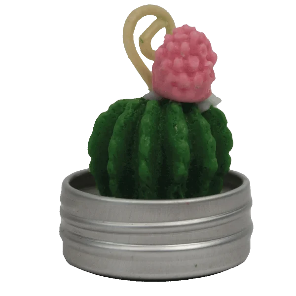 Vela Aromática Mini Cactus