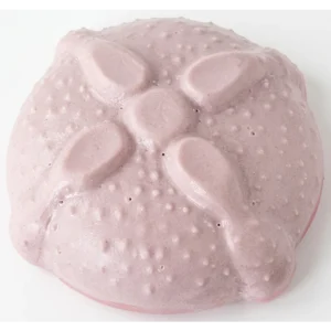 Molde de Polietileno de Pan de Muerto (JHW-24)